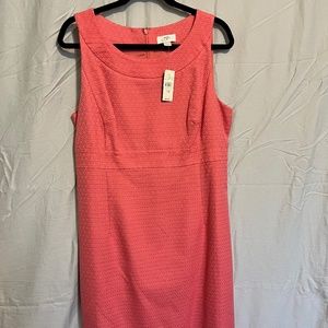 Ann Taylor Loft dress and sweater set.  NWT  Cotton.  Size14.